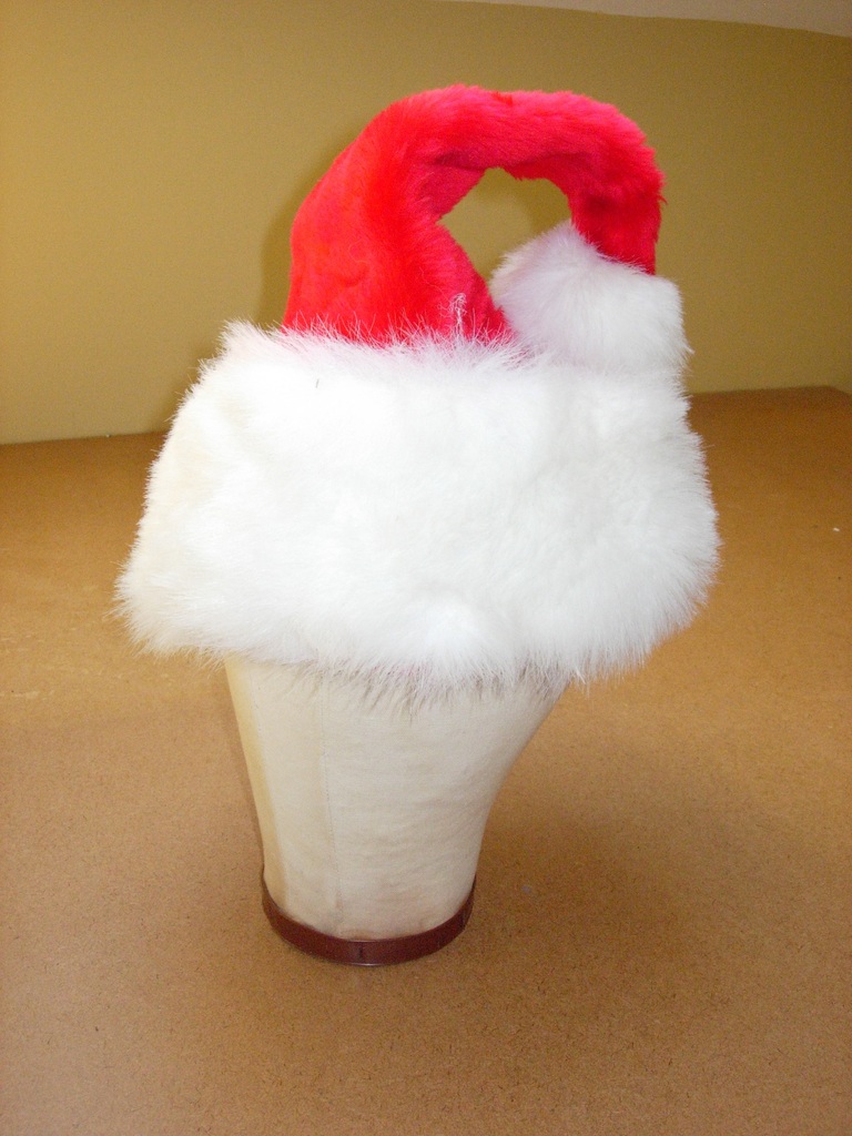 Costume Santa